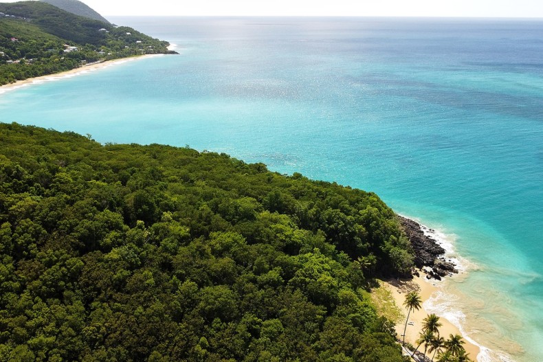 Villa La Louisiane la louisiane env 3.jpg